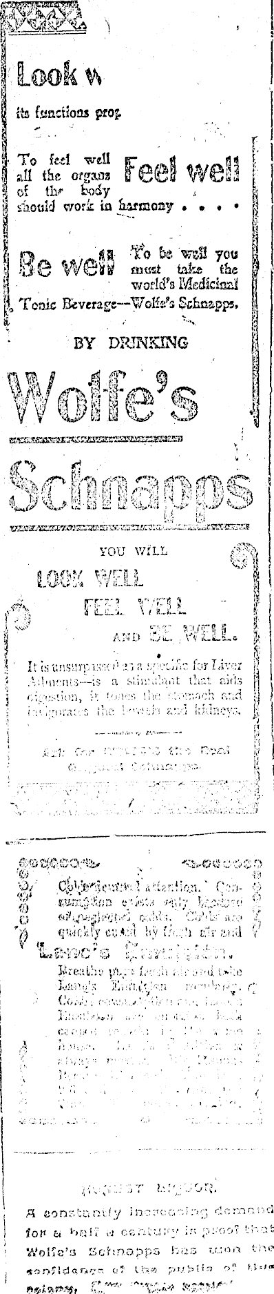 Papers Past Newspapers Inangahua Times 10 January 1908 Page 1 Advertisements Column 2