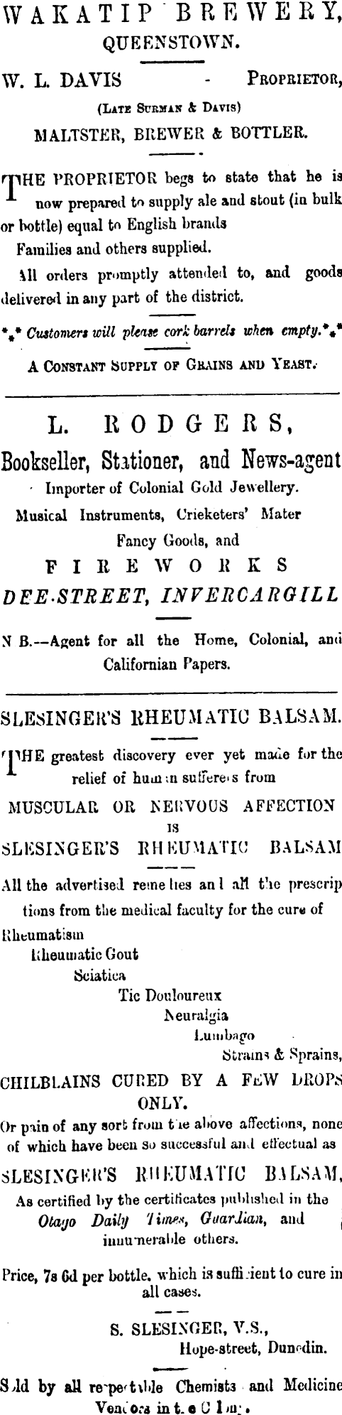 Papers Past Newspapers Lake Wakatip Mail 5 October 1876 Page 1 Advertisements Column 2