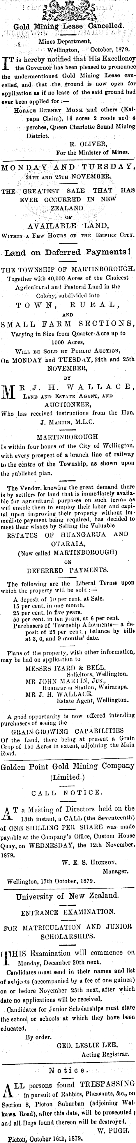 Papers Past | Newspapers | Marlborough Press | 24 October 1879 | Page 3  Advertisements Column 2