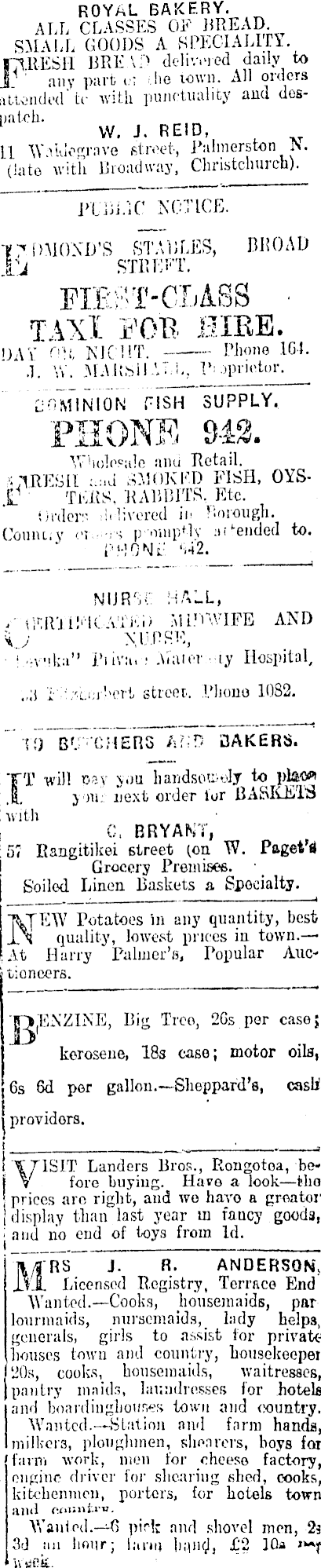 Papers Past Newspapers Manawatu Standard 8 January 1919 Page 1 Advertisements Column 7