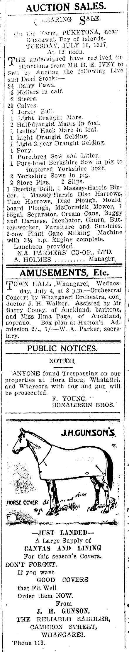Papers Past Newspapers Northern Advocate 3 July 1917 Page 3 Advertisements Column 7