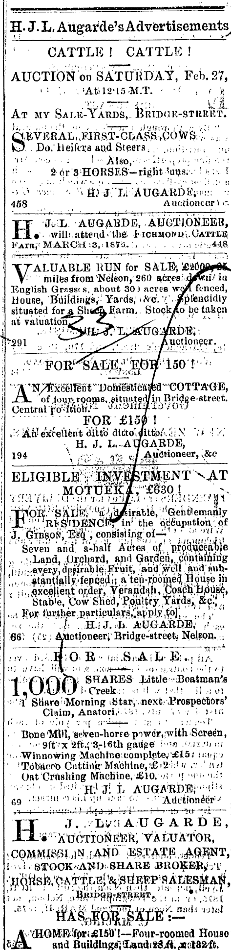 Papers Past Newspapers Nelson Evening Mail 24 February 1875 Page 3 Advertisements Column 5