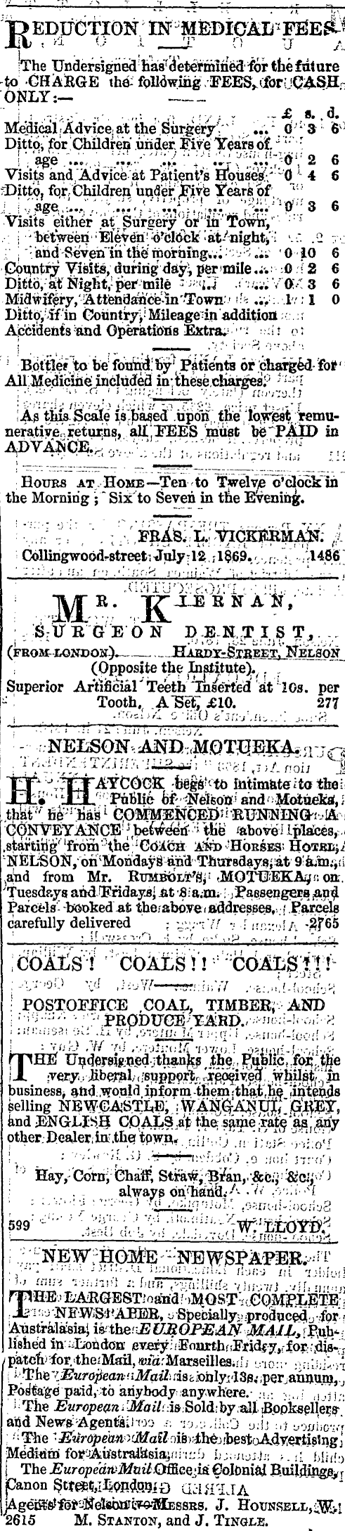 Papers Past Newspapers Nelson Evening Mail 1 July 1870 Page 4 Advertisements Column 2