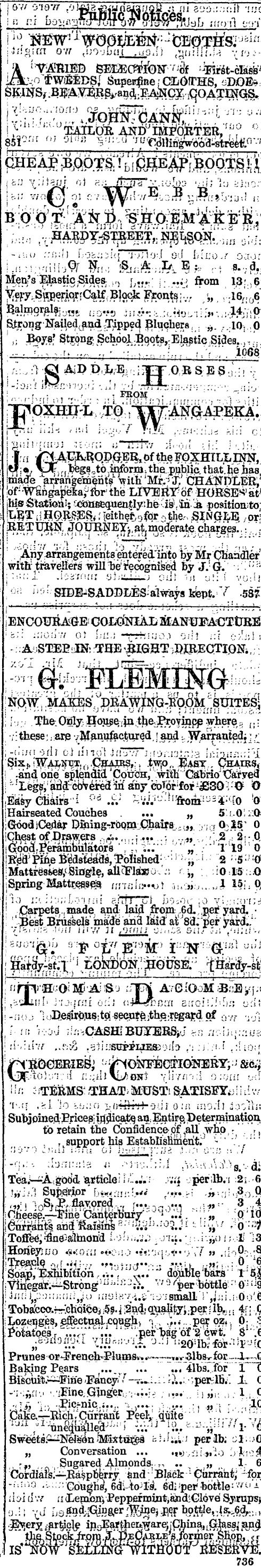 Papers Past Newspapers Nelson Evening Mail 1 July 1870 Page 1 Advertisements Column 3