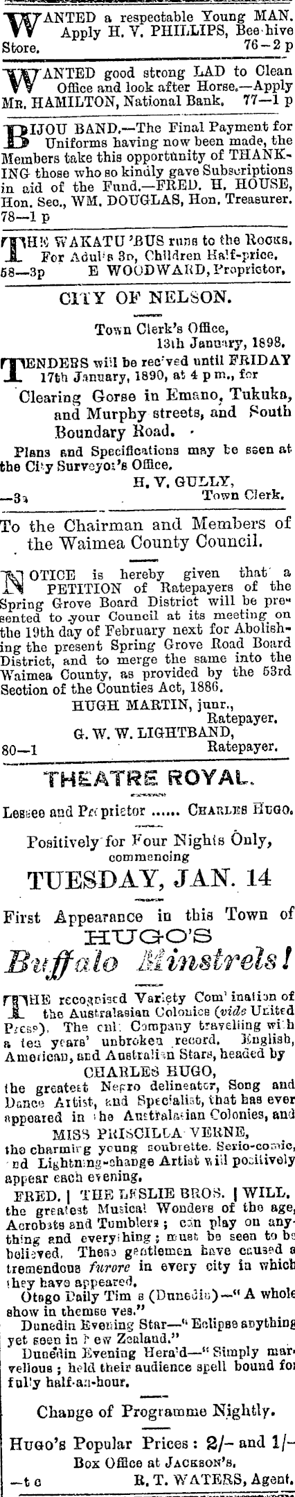 Papers Past Newspapers Nelson Evening Mail 13 January 10 Page 3 Advertisements Column 1