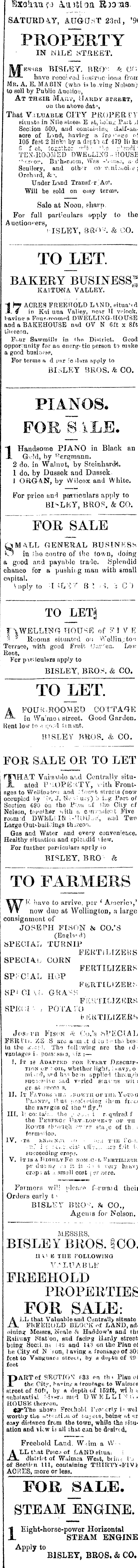 Papers Past Newspapers Nelson Evening Mail 11 August 10 Page 3 Advertisements Column 5