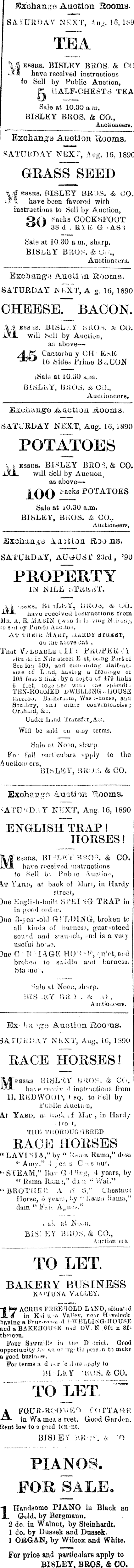 Papers Past Newspapers Nelson Evening Mail 13 August 10 Page 3 Advertisements Column 5