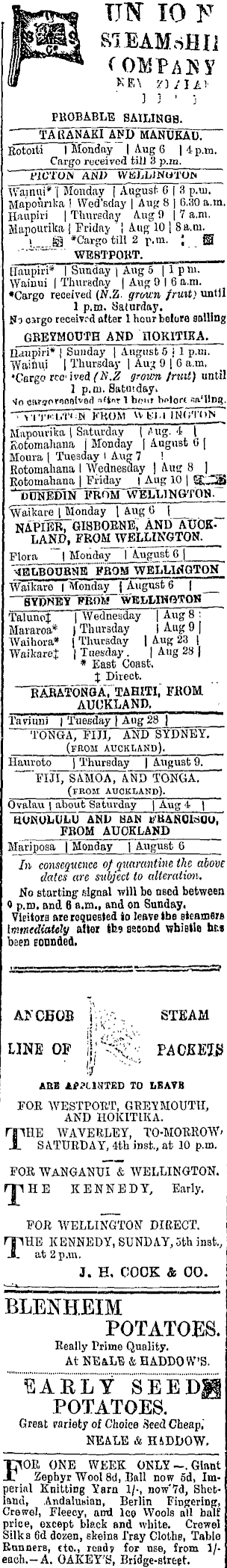 Papers Past Newspapers Nelson Evening Mail 3 August 1900 Page 3 Advertisements Column 4