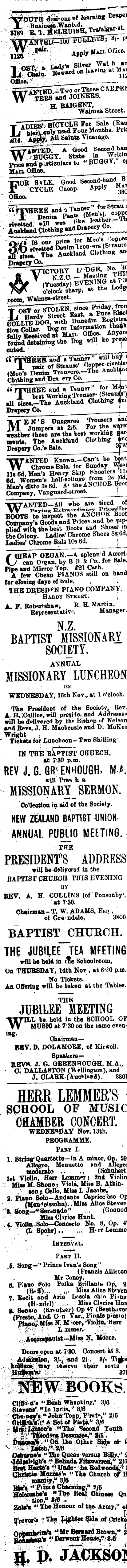 Papers Past Newspapers Nelson Evening Mail 12 November 1901 Page 3 Advertisements Column 1