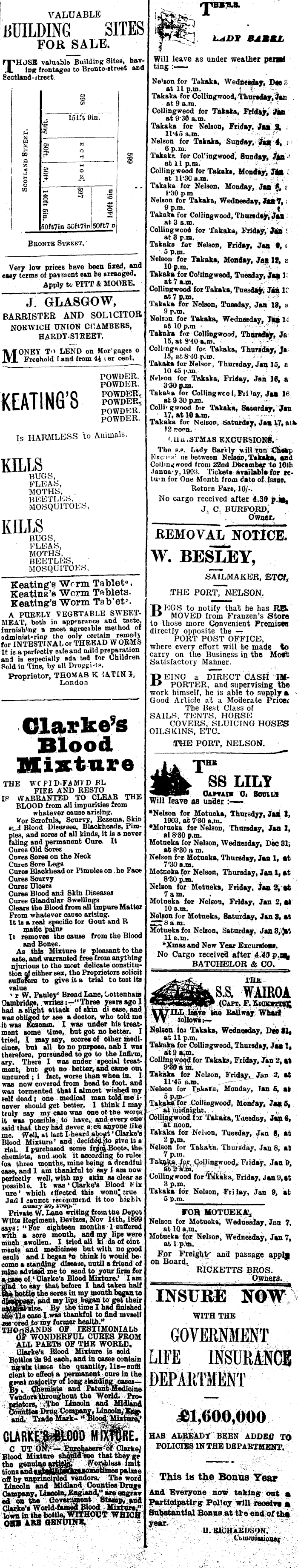 Papers Past Newspapers Nelson Evening Mail 2 January 1903 Page 1 Advertisements Column 5