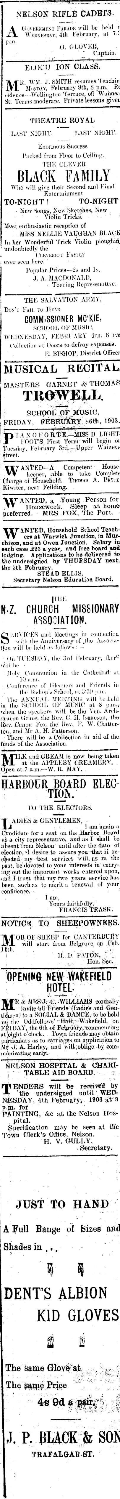 Papers Past Newspapers Nelson Evening Mail 3 February 1903 Page 3 Advertisements Column 4