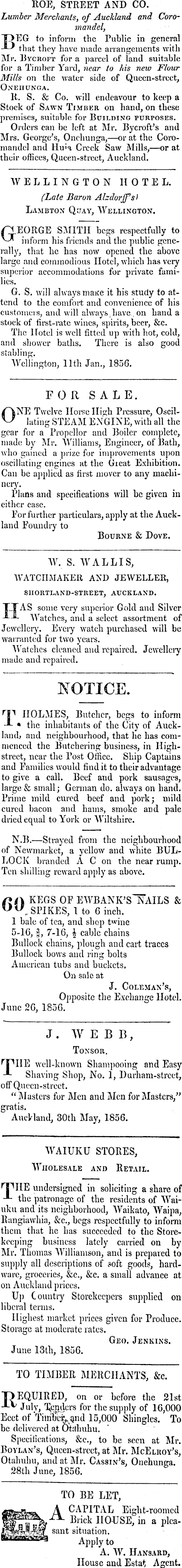 Papers Past Newspapers New Zealander 19 July 1856 Page 4 Advertisements Column 5