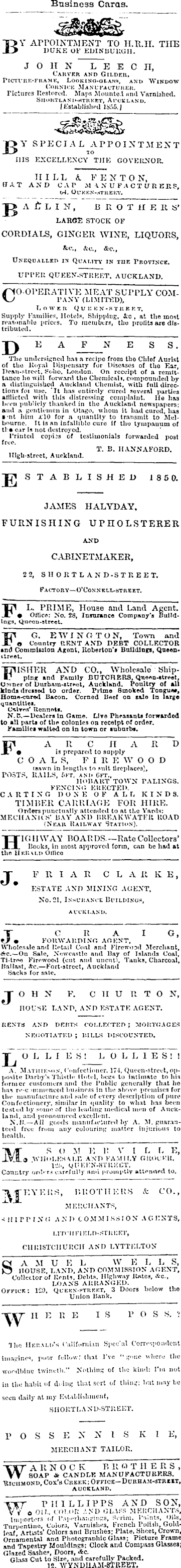 Papers Past Newspapers New Zealand Herald 8 May 1875 Page 1 Advertisements Column 4