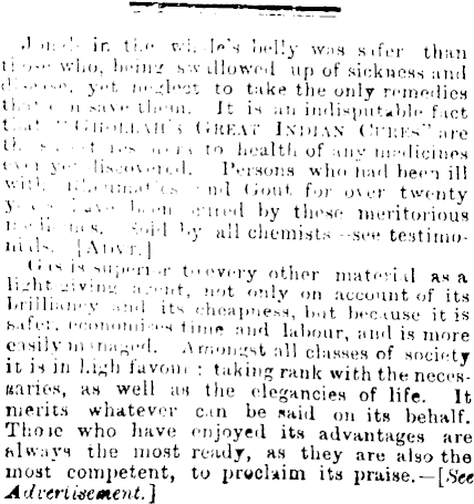 Papers Past Newspapers New Zealand Herald 13 June 1878 Page 2 Advertisements Column 1