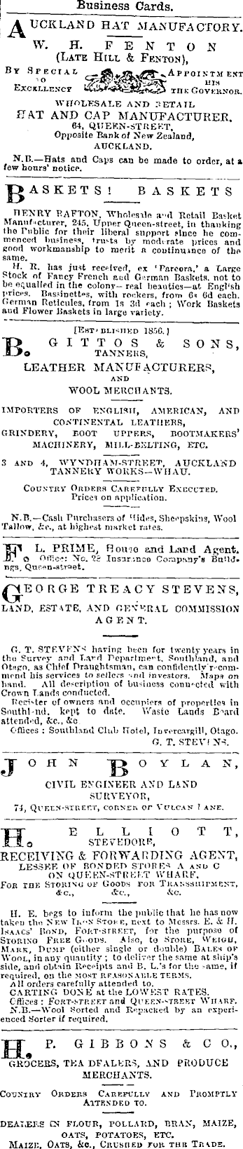 Papers Past Newspapers New Zealand Herald 17 December 1878 Page 1 Advertisements Column 3