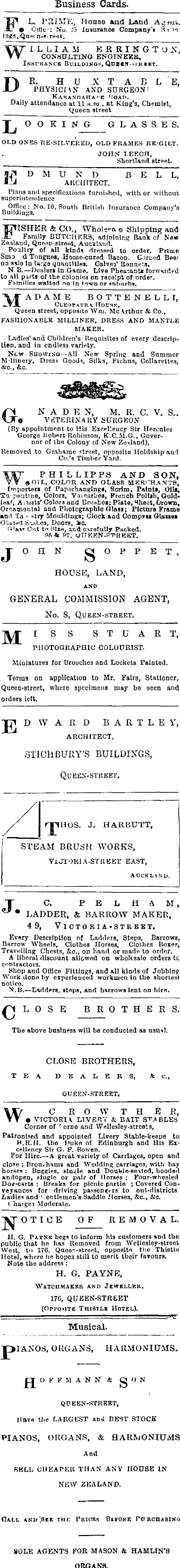 Papers Past Newspapers New Zealand Herald 4 December 1879 Page 3 Advertisements Column 5