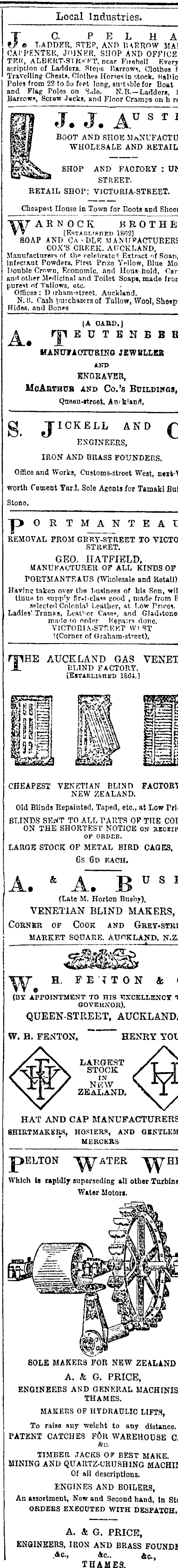 Papers Past Newspapers New Zealand Herald 20 January 1886 Page 2 Advertisements Column 5