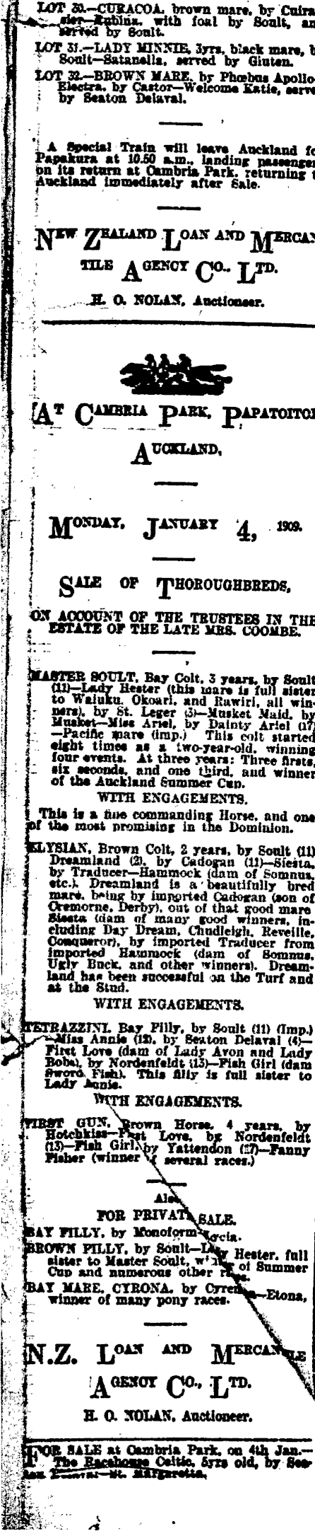 Papers Past Newspapers New Zealand Herald 2 January 1909 Page 8 Advertisements Column 1