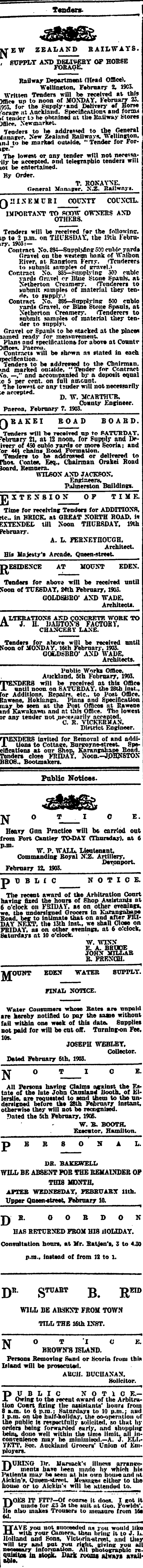 Papers Past Newspapers New Zealand Herald 12 February 1903 Page 8 Advertisements Column 3