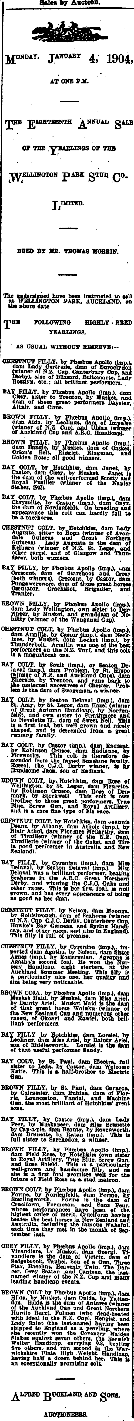 Papers Past Newspapers New Zealand Herald 26 December 1903 Page 8 Advertisements Column 4