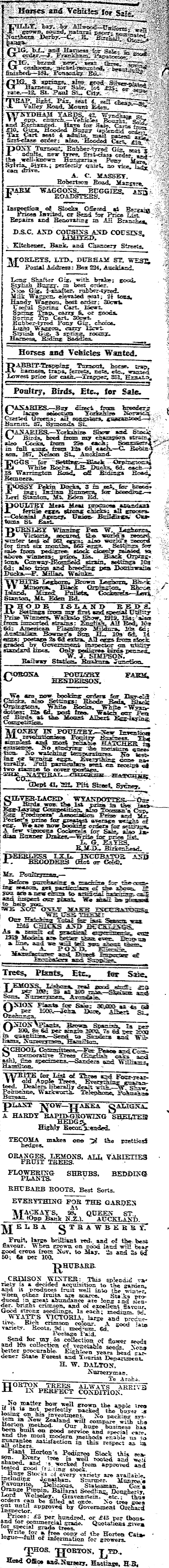 Papers Past Newspapers New Zealand Herald 19 July 1919 Page 2 Advertisements Column 8