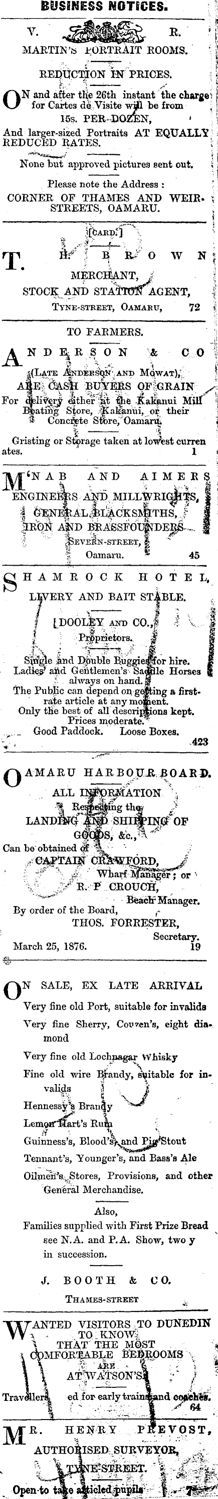 Papers Past Newspapers Oamaru Mail 13 July 1876 Page 1 Advertisements Column 6