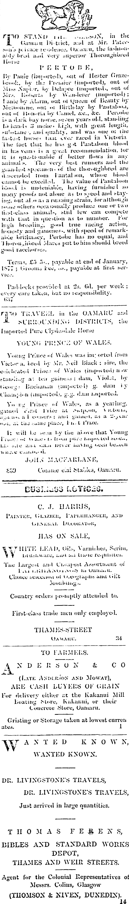 Papers Past Newspapers Oamaru Mail 13 November 1876 Page 1 Advertisements Column 3