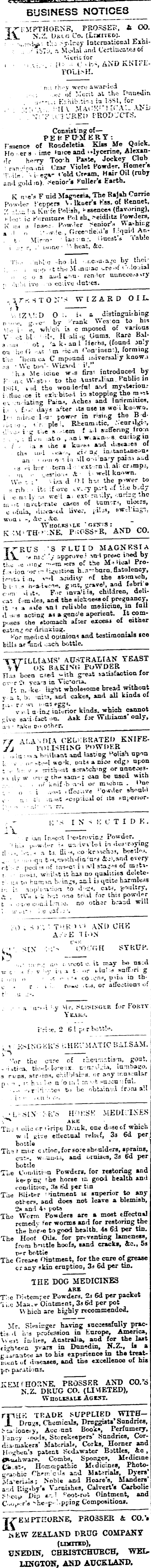 Papers Past Newspapers Oamaru Mail 12 November 1881 Page 4 Advertisements Column 1