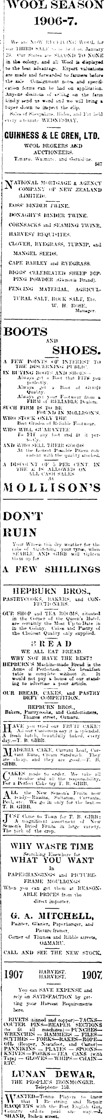 Papers Past Newspapers Oamaru Mail 25 January 1907 Page 3 Advertisements Column 8