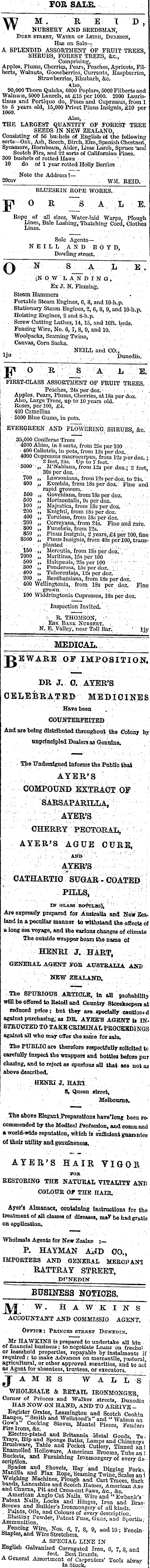 Papers Past Newspapers Otago Daily Times 3 August 1874 Page 8 Advertisements Column 6