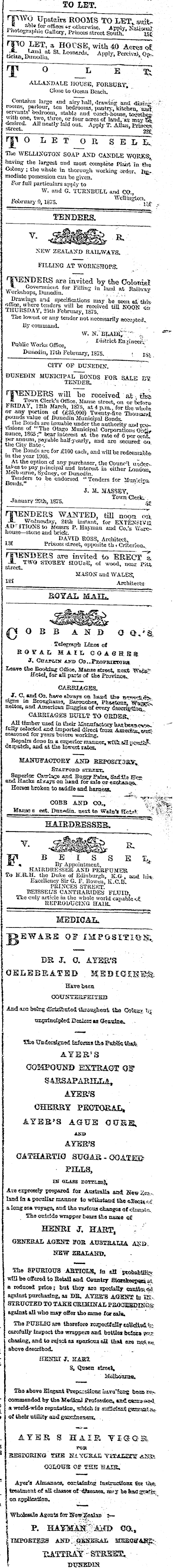 Papers Past Newspapers Otago Daily Times 23 February 1875 Page 3 Advertisements Column 5