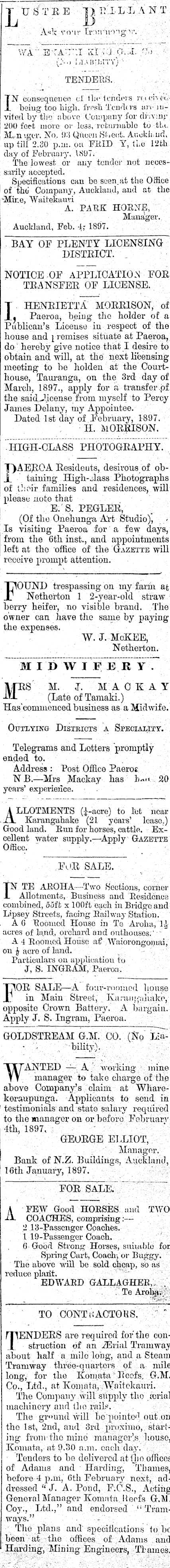 Papers Past Newspapers Ohinemuri Gazette 6 February 17 Page 5 Advertisements Column 6