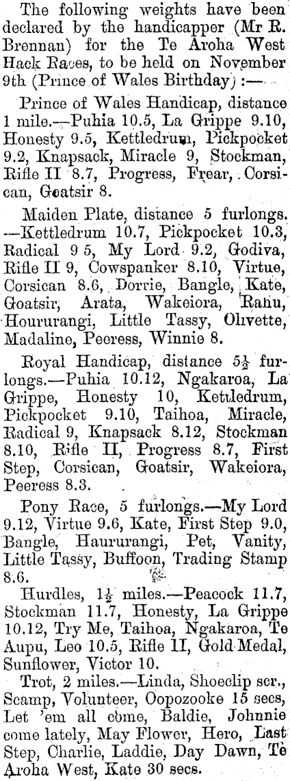 Papers Past | Newspapers | Ohinemuri Gazette | 1 November 1899 | Te Aroha  West Hack Club.