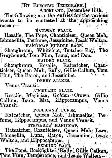 Papers Past | Newspapers | Otago Witness | 22 December 1877 | AUCKLAND RACING  CLUB.