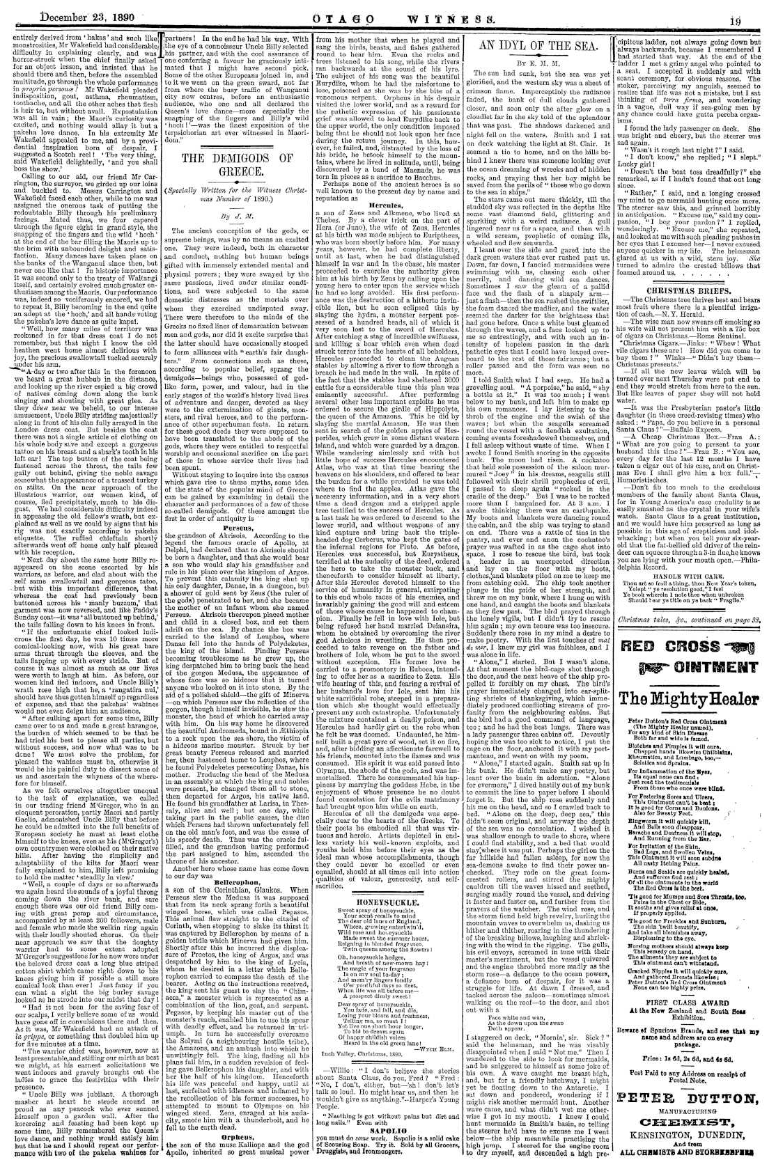 Papers Past Newspapers Otago Witness 23 December 1890 Page 19