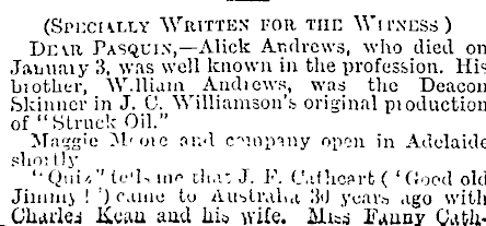 Papers Past Newspapers Otago Witness 7 February 1895