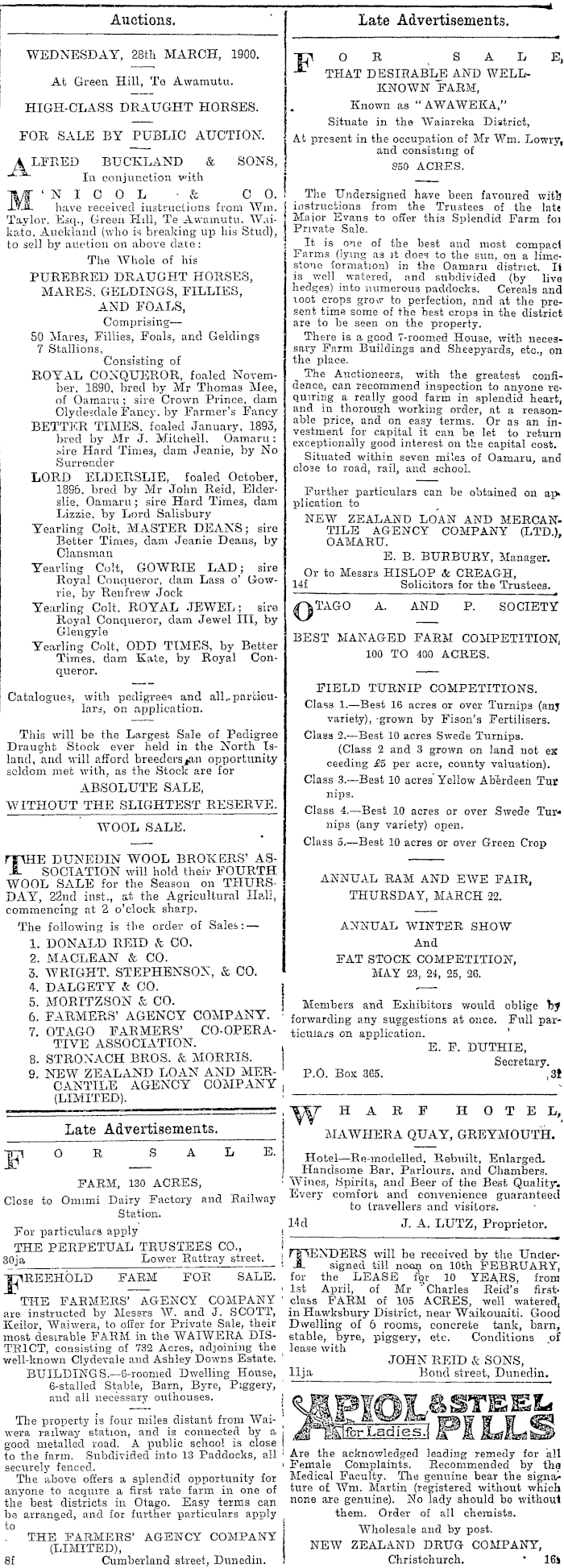 Papers Past, Newspapers, Otago Witness, 15 February 1900