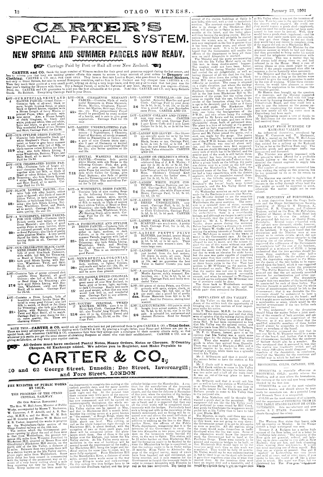 Papers Past Newspapers Otago Witness 23 January 1901 Page 12