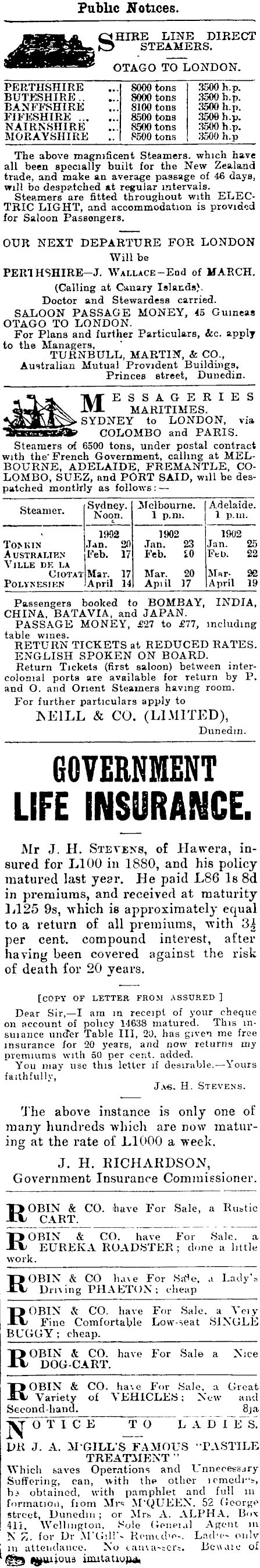 Papers Past Newspapers Otago Witness 15 January 1902 Page 3 Advertisements Column 2