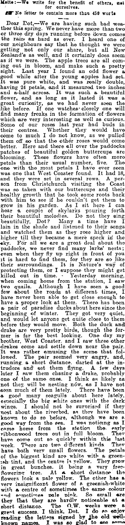 Papers Past Newspapers Otago Witness 9 November 1910 Letters From The Little Folk