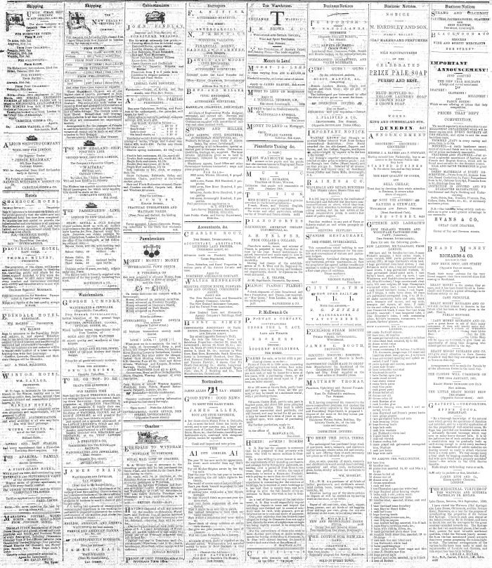 Papers Past Newspapers Southland Times 19 January 1881