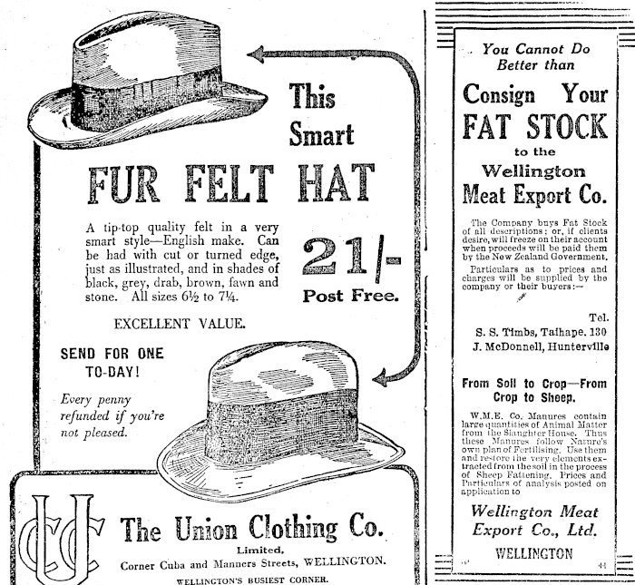 Papers Past Newspapers Taihape Daily Times 10 June 1919 Page 3 Advertisements Column 1