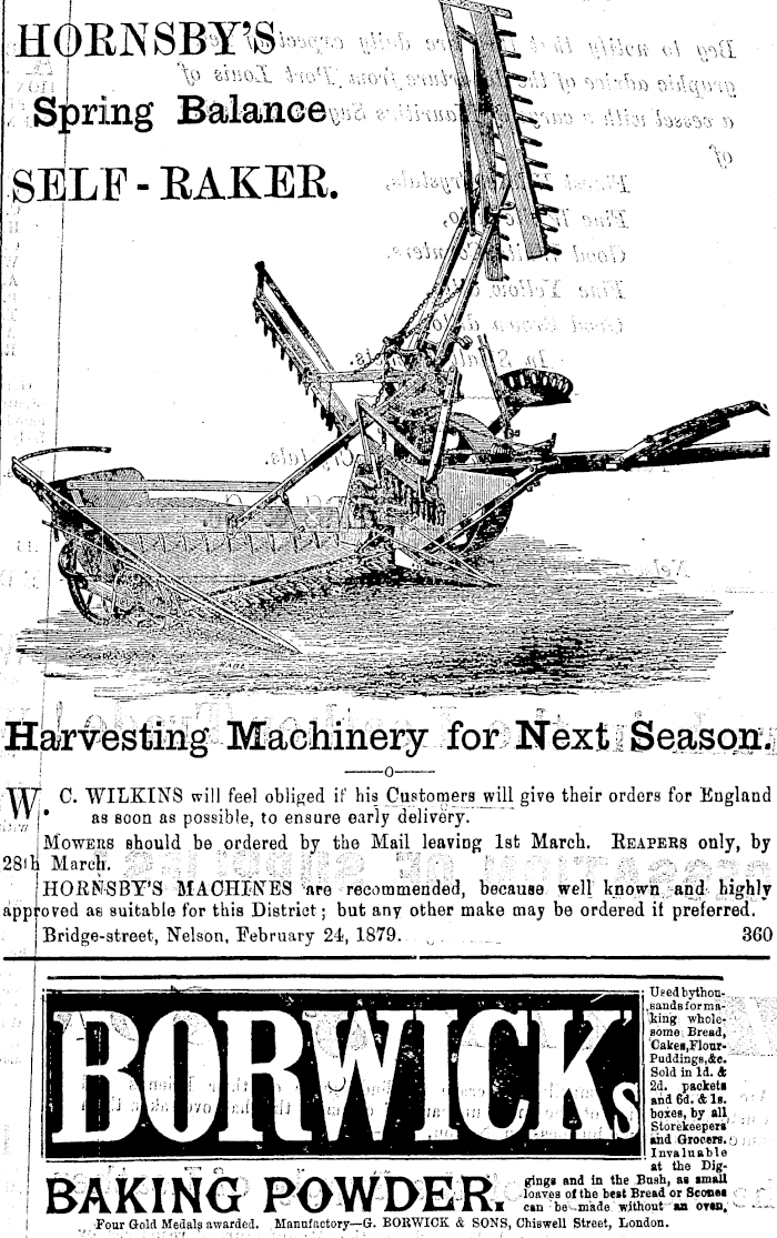 Papers Past Newspapers Colonist 8 March 1879 Page 1 Advertisements Column 2