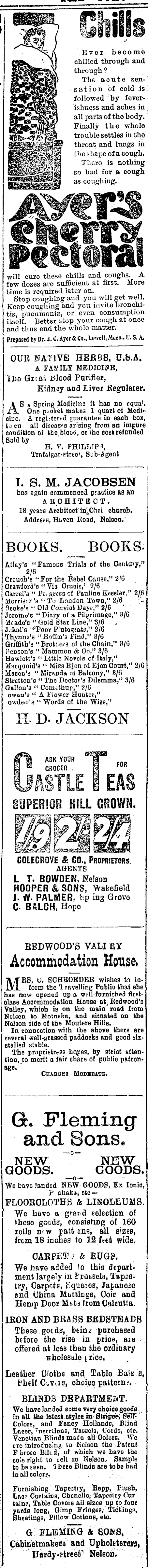 Papers Past Newspapers Colonist 2 April 1900 Page 3 Advertisements Column 3