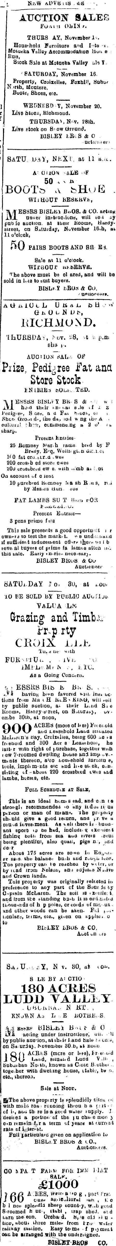 Papers Past Newspapers Colonist 14 November 1901 Page 3 Advertisements Column 7