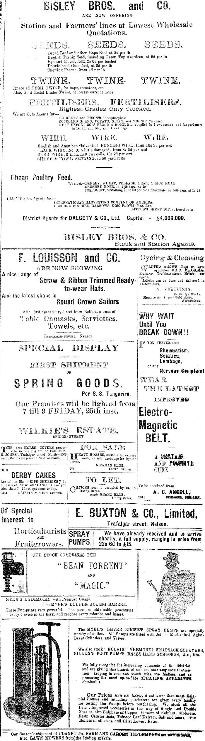 Papers Past Newspapers Colonist 29 August 1905 Page 3 Advertisements Column 4