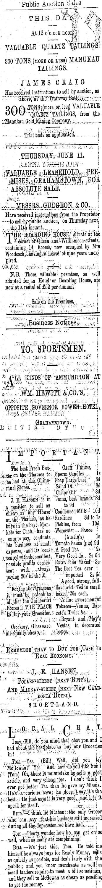 Papers Past Newspapers Thames Advertiser 8 June 1874 Page 2 Advertisements Column 1