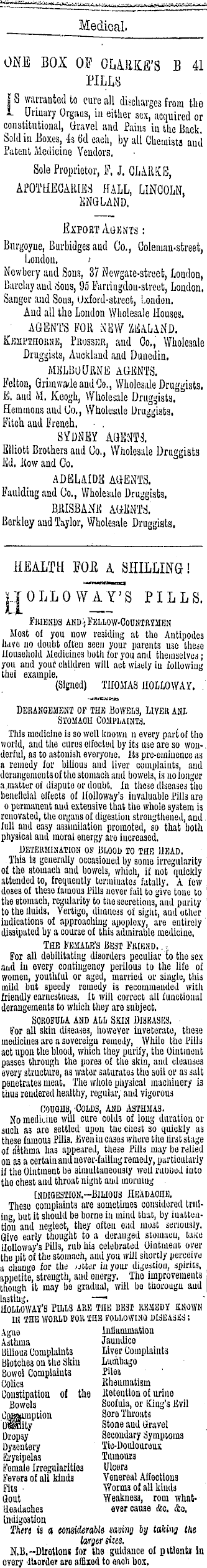 Papers Past | Newspapers | Thames Advertiser | 19 November 1874 | Page 4  Advertisements Column 5