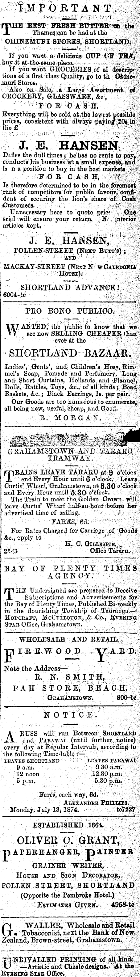 Papers Past Newspapers Thames Star 25 August 1874 Page 1 Advertisements Column 5