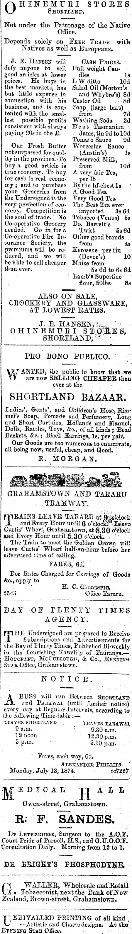 Papers Past Newspapers Thames Star 9 November 1874 Page 1 Advertisements Column 6